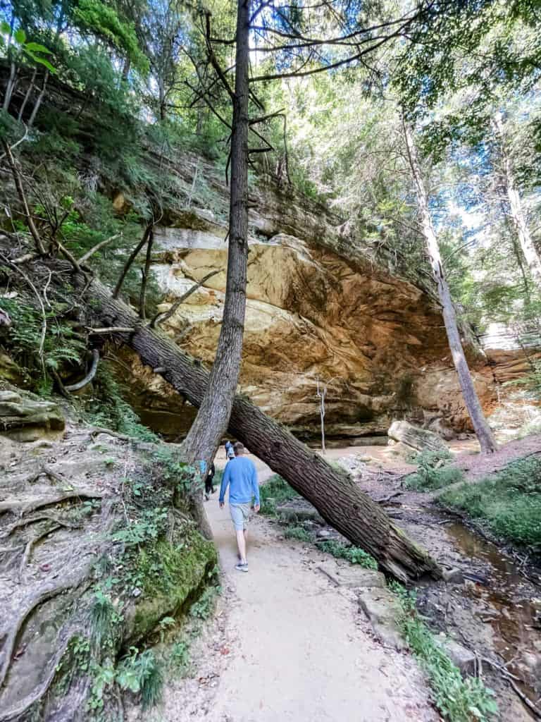 Walking along the handicap accessible trail to Ash Cave